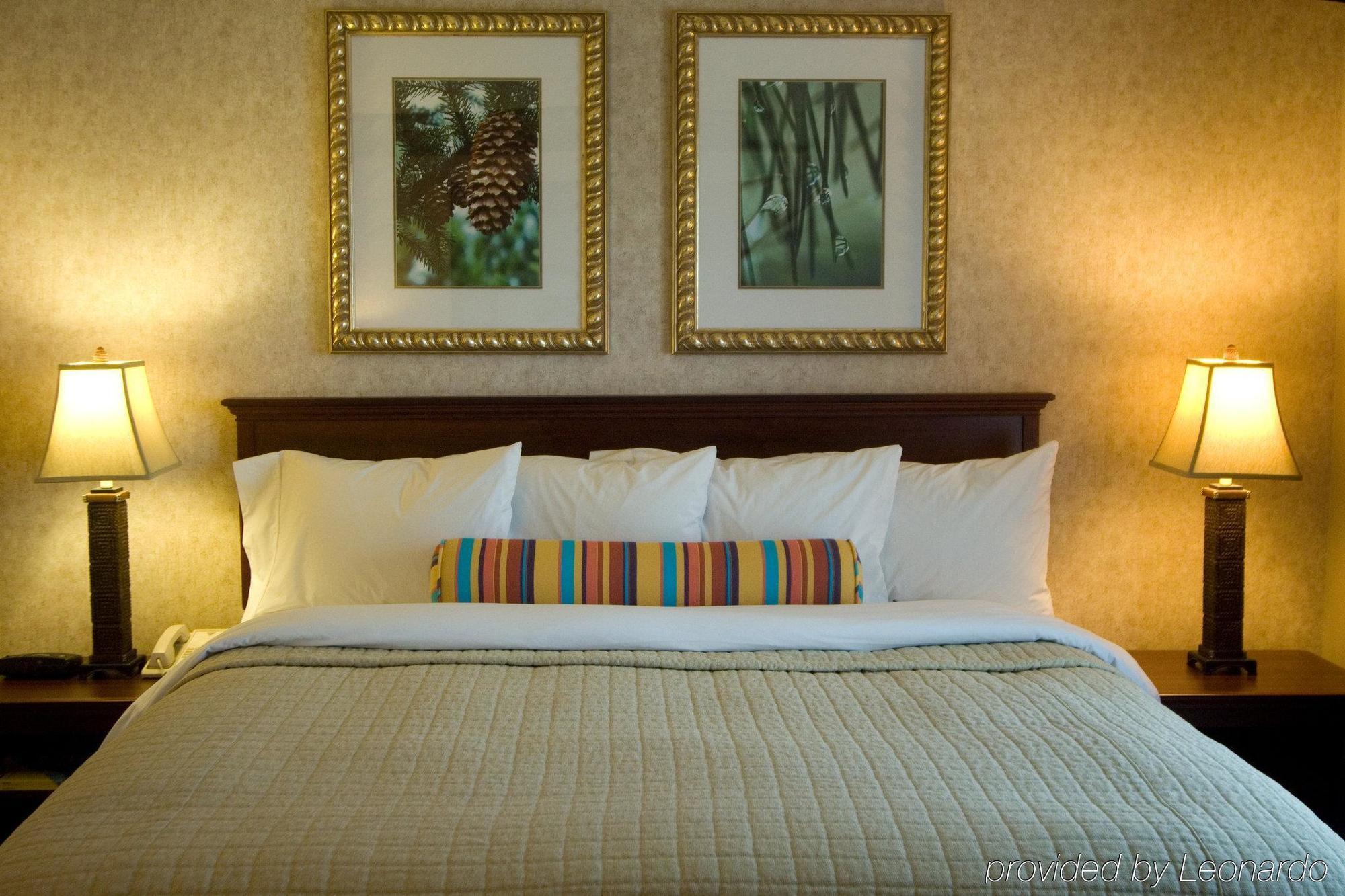 Phoenix Inn Suites 올버니 객실 사진
