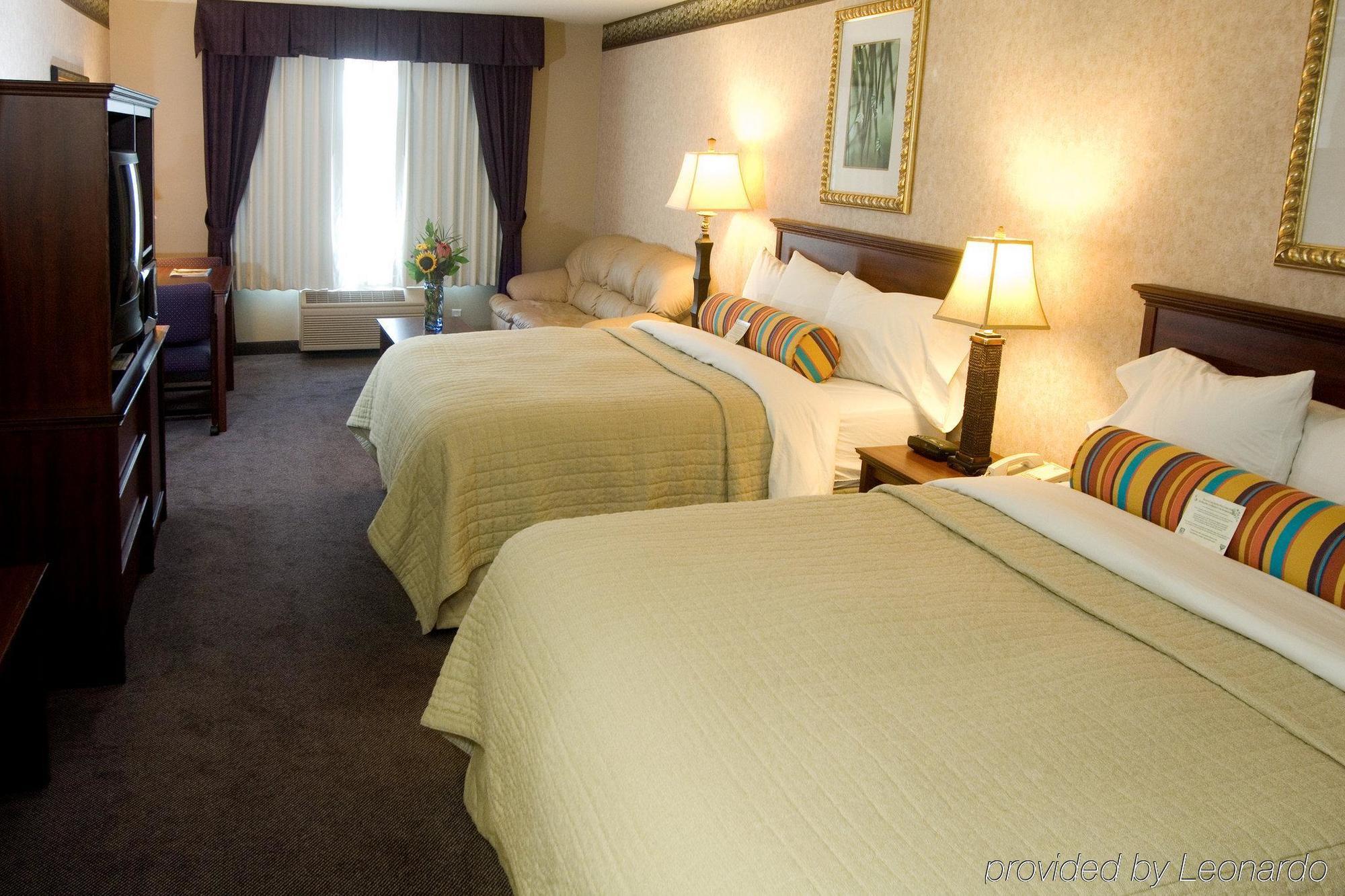 Phoenix Inn Suites 올버니 객실 사진