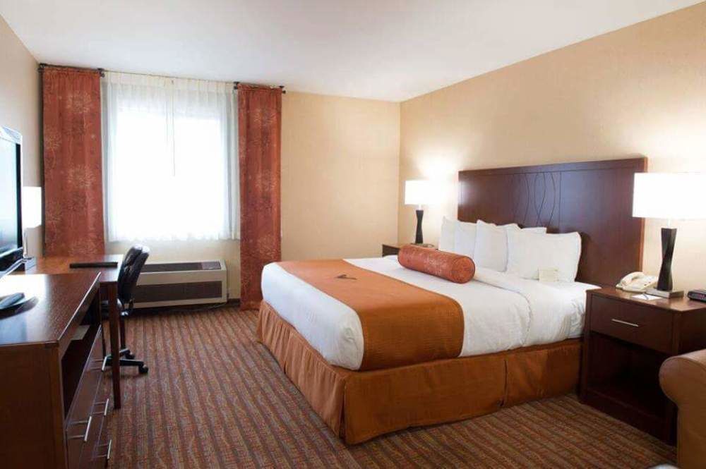 Phoenix Inn Suites 올버니 외부 사진