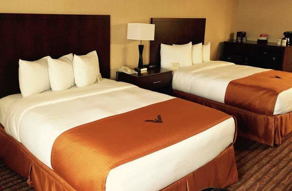 Phoenix Inn Suites 올버니 외부 사진